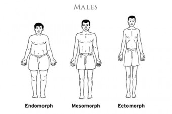 Somatype Males